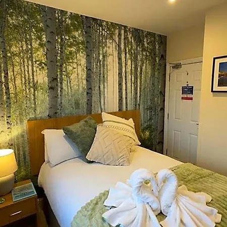 Hotel The Buck *